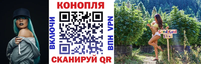 Купить где  Курлово  Бошки Шишки семена 